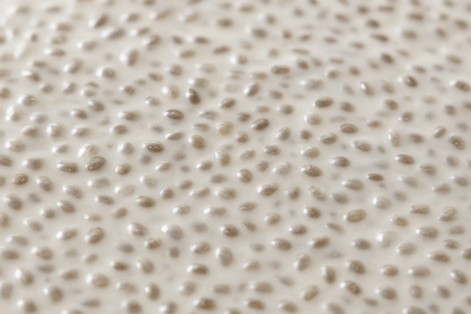 chia seed pudding background